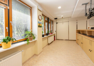 cupr_systems_radiation_shielded_doors_project_gallery_mou_brno_zluty_kopec_linear_system_door